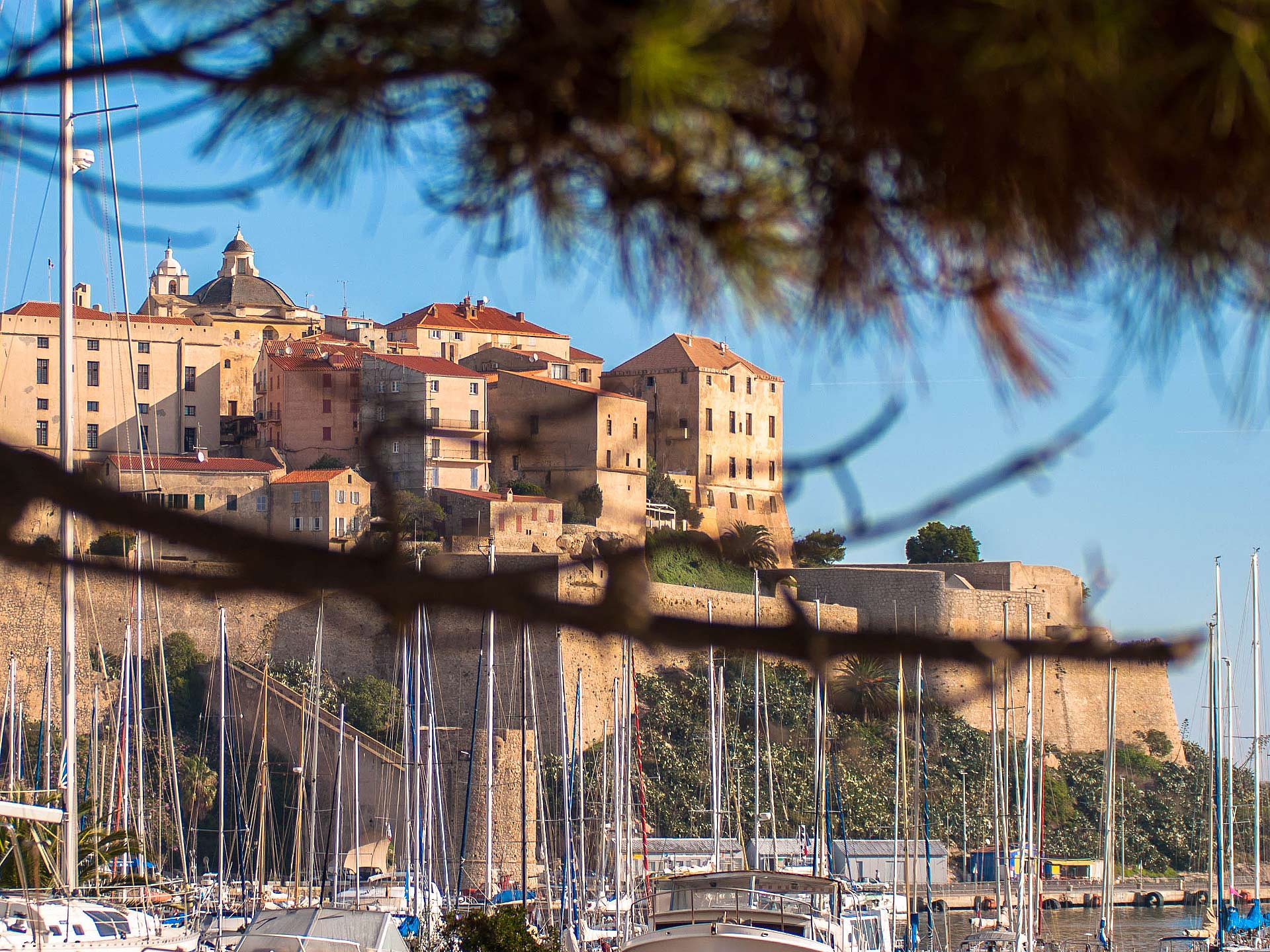 La citadelle de Calvi et vue des voiliers dans le port