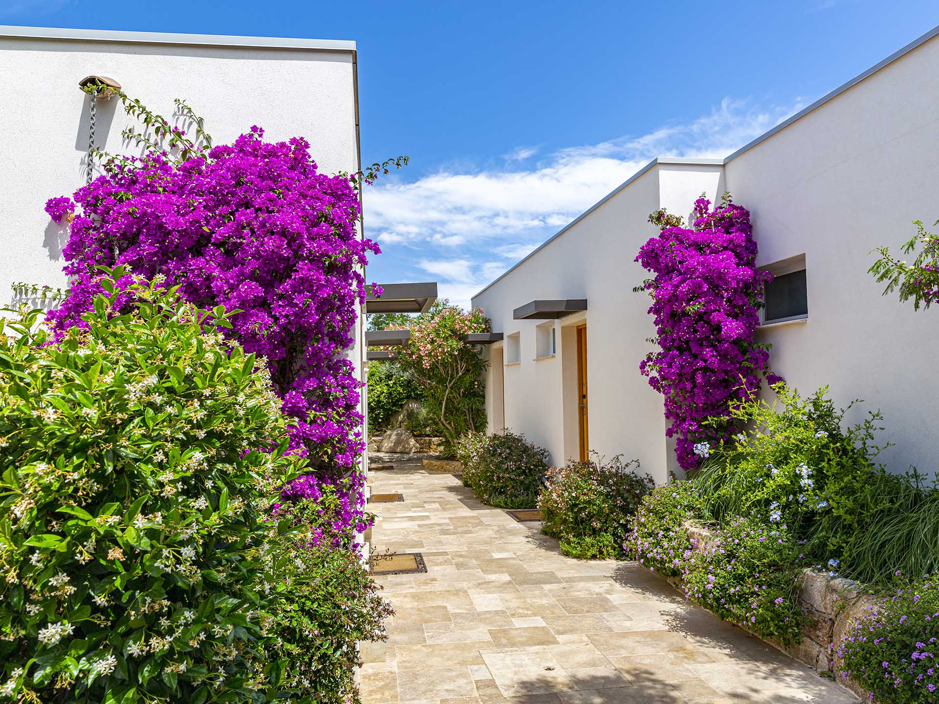 Allée fleurie de l’hôtel bordée de bougainvilliers violets